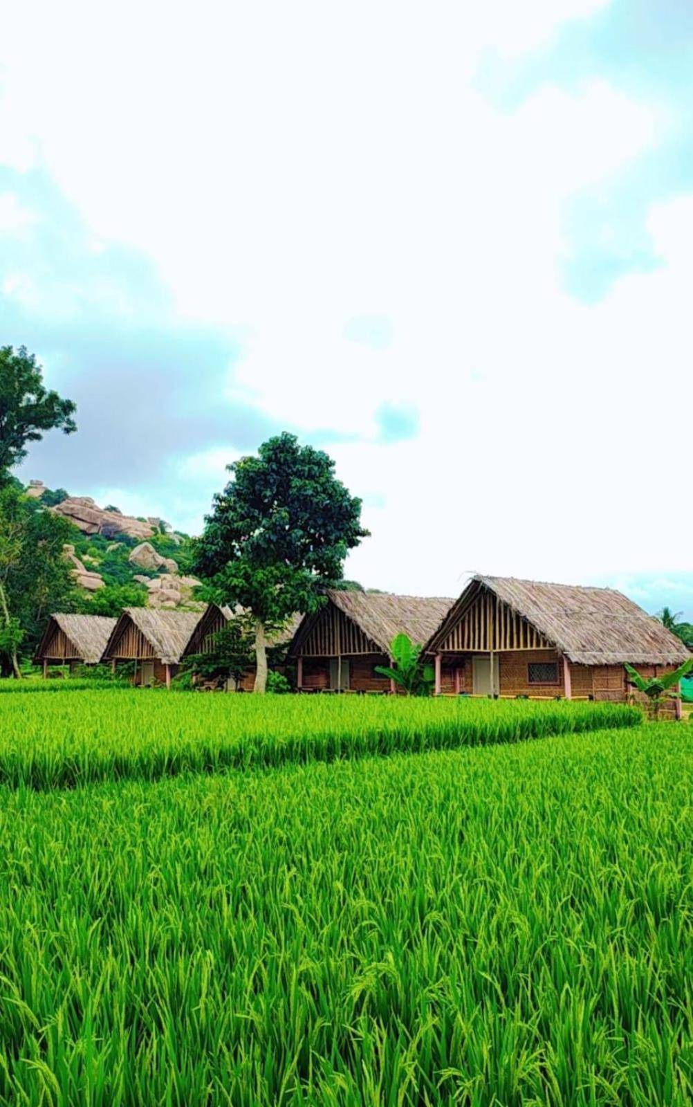 Om Shanti Om Home Stay & Cafe Hampi Εξωτερικό φωτογραφία