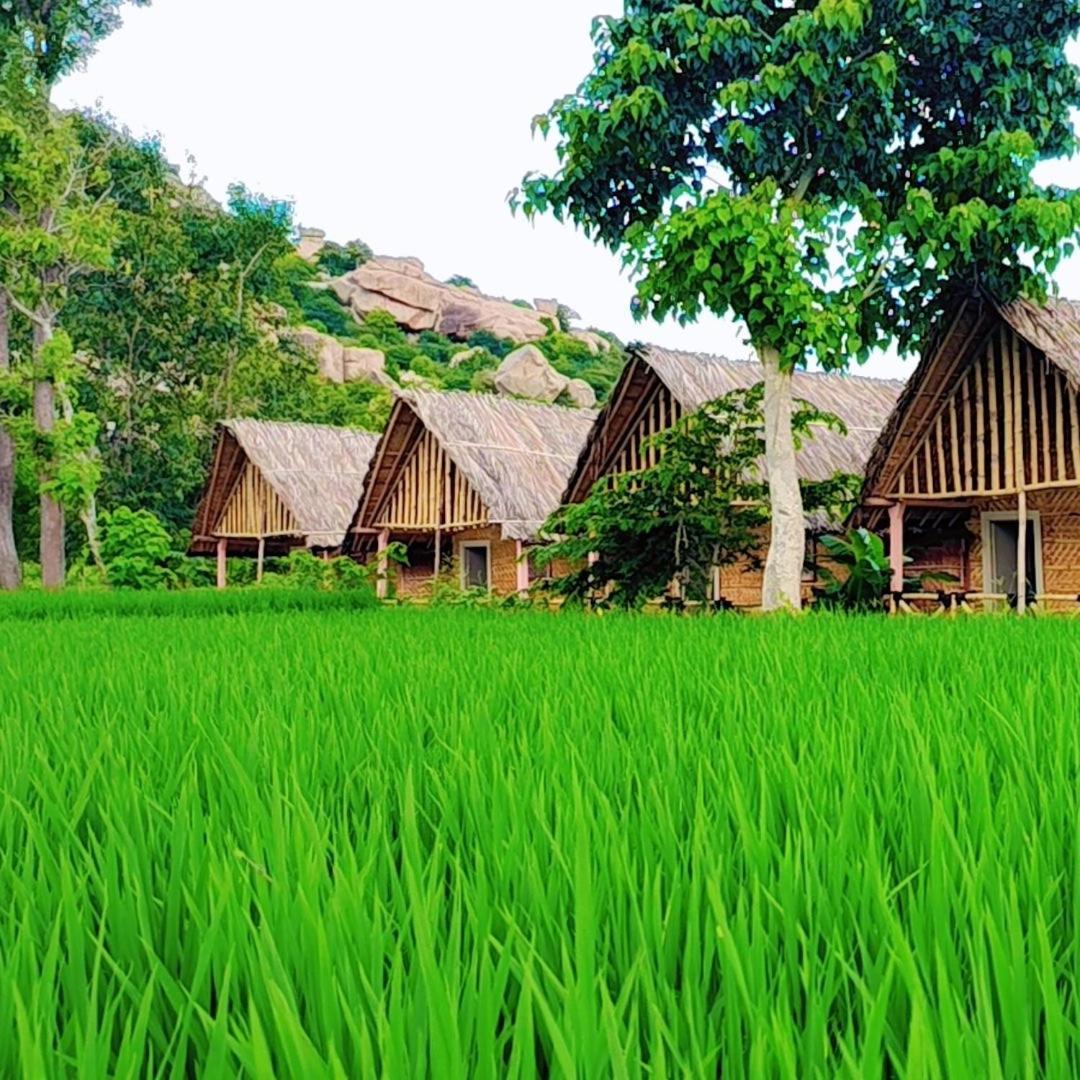 Om Shanti Om Home Stay & Cafe Hampi Εξωτερικό φωτογραφία